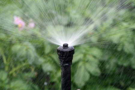water sprinkler,Gran Canaria,Spainの写真素材