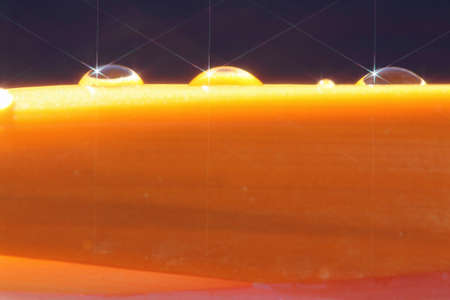 strelitzia,Gran Canaria,Spainの写真素材