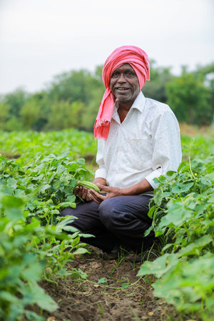 Indian farmer at work in the field of his vegetable garden, India.の写真素材