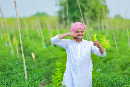 Indian Happy farmer holding green chilli , green chilli farming, young farmerの写真素材