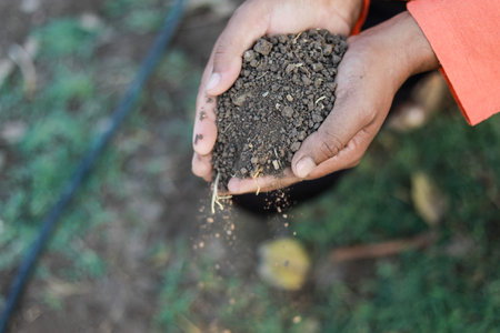 Indian farmer holding soil in hands, happy farmingの写真素材