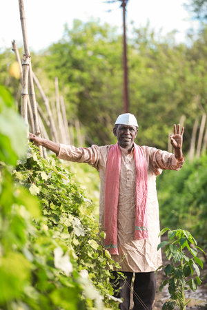 Indian farming Happy indian farmer standing in farm, sowing Empty Handsの写真素材