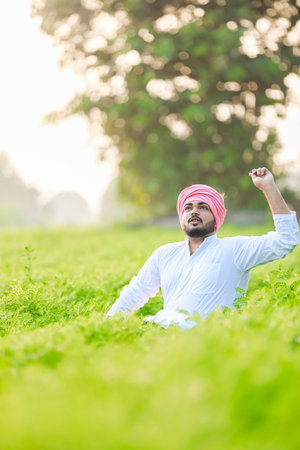Happy Indian Young farmer, enjoy Chickpea Farmingの写真素材