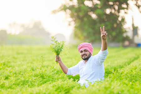 Happy Indian Young farmer, enjoy Chickpea Farmingの写真素材