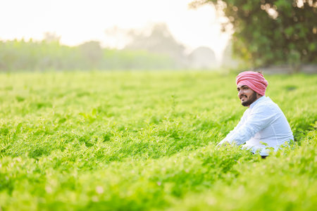 Happy Indian Young farmer, enjoy Chickpea Farmingの写真素材