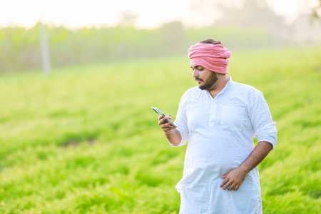 Happy Indian Young farmer, enjoy Chickpea Farmingの写真素材