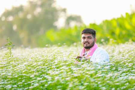 Indian happy farmer harvesting coriander flowers, successful Farmingの写真素材