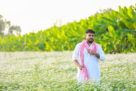 Indian happy farmer harvesting coriander flowers, successful Farmingの写真素材