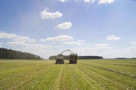The process of harvesting herbs using modern technologyの写真素材