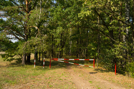 oak grove