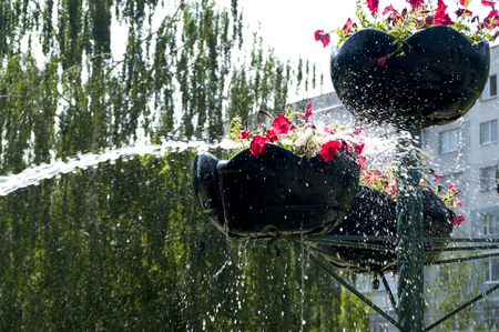 watering flowers in pots from a hoseの写真素材