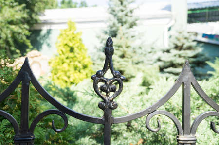 Beautiful forged metal fence in the parkの写真素材