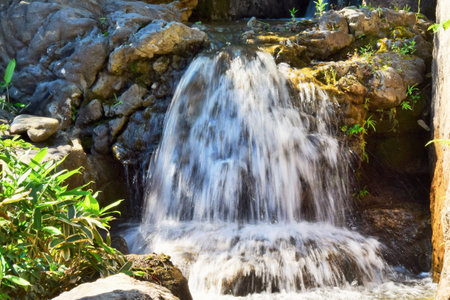 Small waterfall in the garden. Water fall in the garden, Thailand.の写真素材