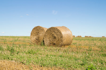 Hay bales in a field in the summer under a blue skyの写真素材