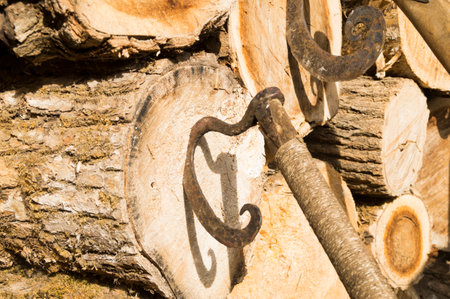Close up of a woodpile of logs with a rusty hookの写真素材
