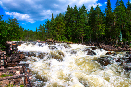 Beautiful wild river in the Arctic forest. The rapid flow carries its waters. Beautiful summer forest.の写真素材