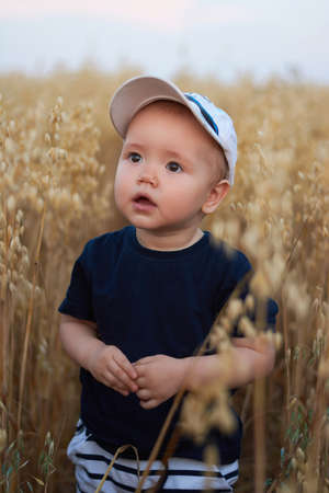 a little boy looks up in a wheat field in summerの写真素材