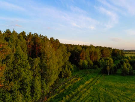 green forest and road .view from the drone.の写真素材