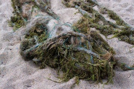mud on the sandy shore of the lakeの写真素材