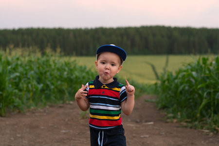 a little boy makes faces and plays in a cornfieldの写真素材