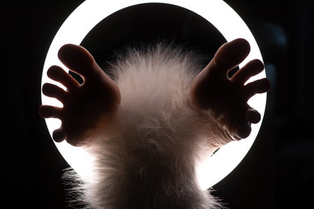 female legs with an animal tail in close-up in a round lamp. the concept of quadrobing and grooming.