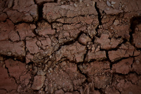 Brown Dry Soil Texture Backgroundの写真素材