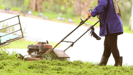 The gardener is cutting grass