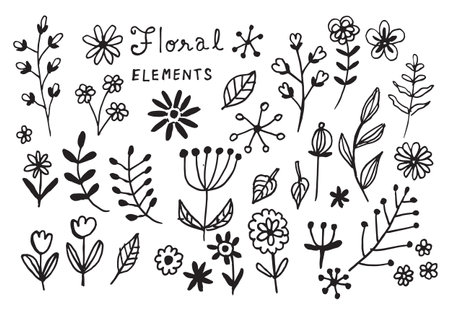 Flower element doodle hand drawn , cute iconの写真素材