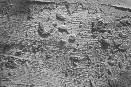 black and white texture of cement wall. Abstract background and texture for design.の写真素材