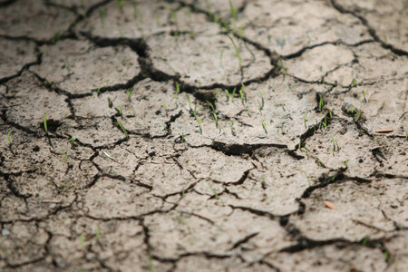 Dry cracked earth background. Global warming and climate change concept.