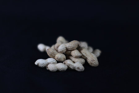 Peanuts on a black background. Close-up. Selective focus.の写真素材