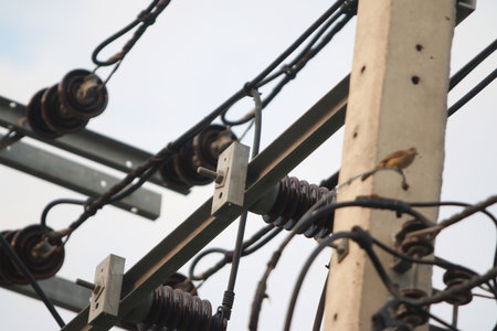 electricity post in the city, close-up of electric wiresの写真素材