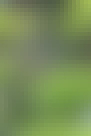 Green abstract texture background wallpaper modern graphic designの写真素材