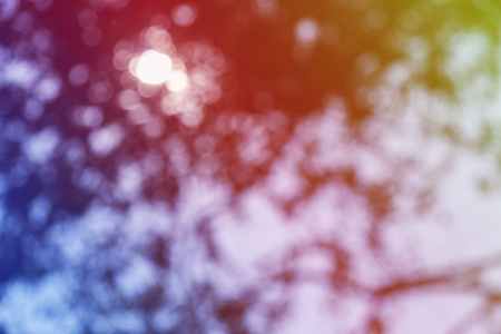 Beautiful natural bokeh for background.の写真素材