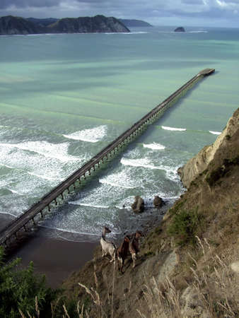 A stunning view of New Zealands longest pierの写真素材
