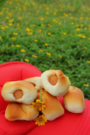 Hot dog bunsの写真素材