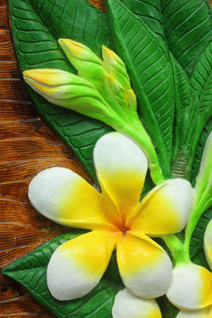 Flowersの写真素材