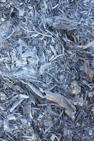 Ashes