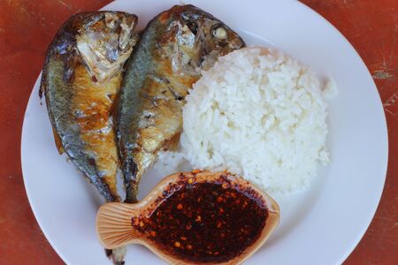 Mackerel fried and riceの写真素材
