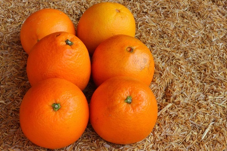 Citrus fruits の写真素材
