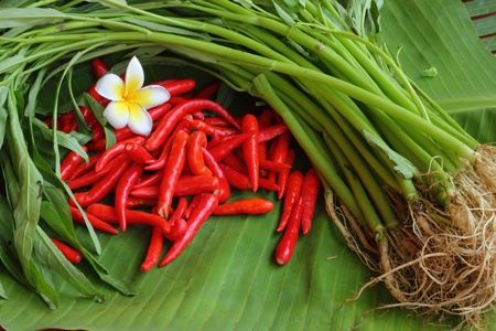 The chili and vegetables の写真素材