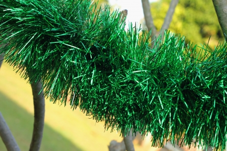Decorated green color の写真素材