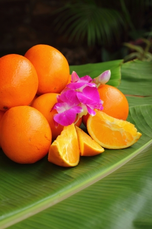 Orangeの写真素材