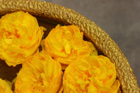 Yellow flowers floating in water の写真素材