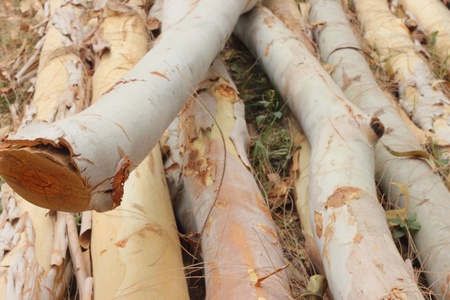 A pile of wood の写真素材
