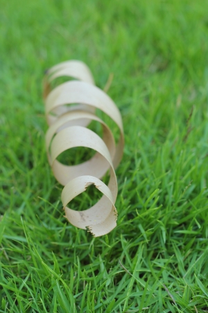 Wood is laid on the grass ribbon の写真素材