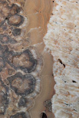 Marble - Brown 