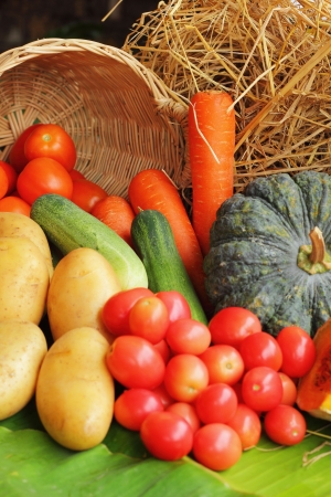 Fresh vegetablesの写真素材