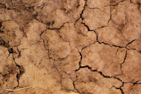 Soil