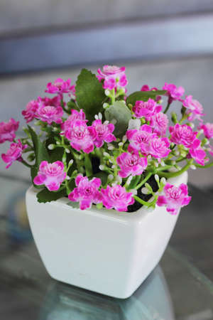 Plastic flower - pink flowers.の写真素材